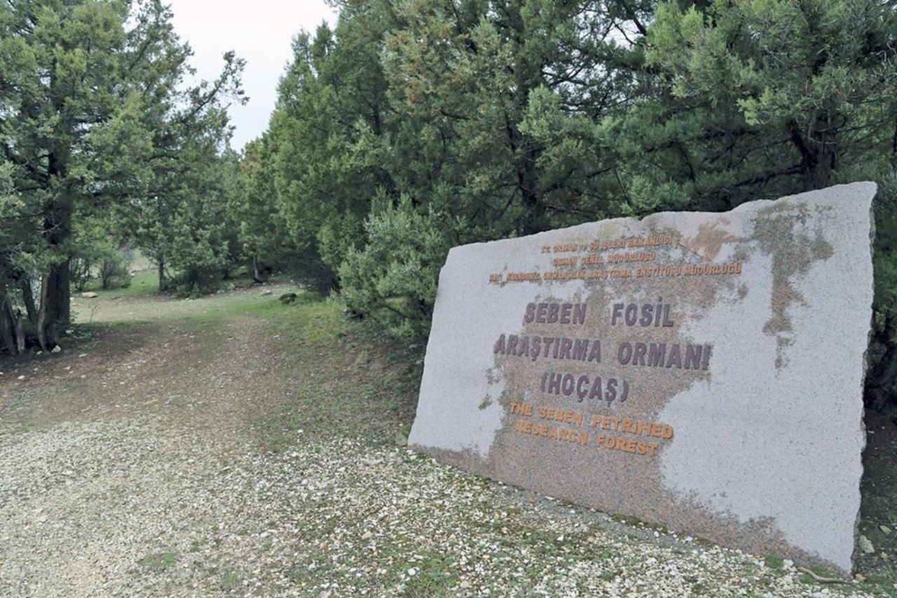 Büyüleyici tabiat parkları, şifalı jeotermal suları, saraylara layık lezzetleri ve keyifli kayak merkezleriyle Bolu’da gezilecek yerler listesi! 27