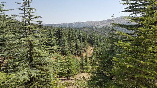 Güllerin şehri Isparta’da görülmesi gereken yerler ve yöresel lezzetler listesi 4