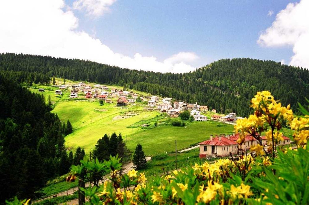 Eşsiz Karadeniz havası ve yemyeşil doğasıyla Giresun gezi listesi ve yöresel lezzetleri! 5