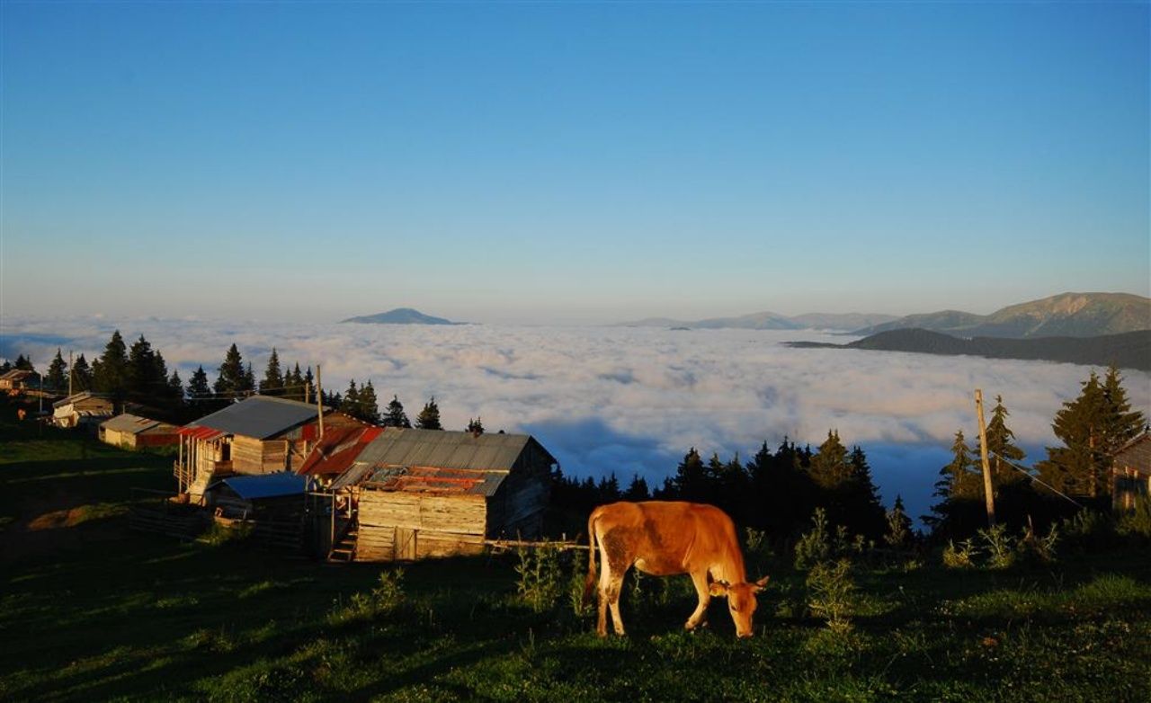 Eşsiz Karadeniz havası ve yemyeşil doğasıyla Giresun gezi listesi ve yöresel lezzetleri! 4