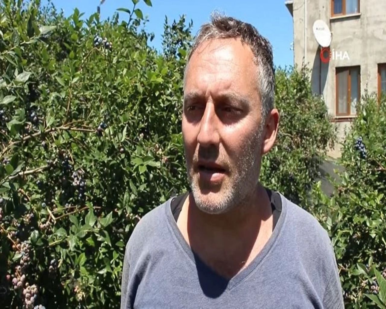 İnternette kilosu 150 TL'den satılıyor, yılda 300 bin TL kazandırıyor! Üreticisi paraya para demiyor 7