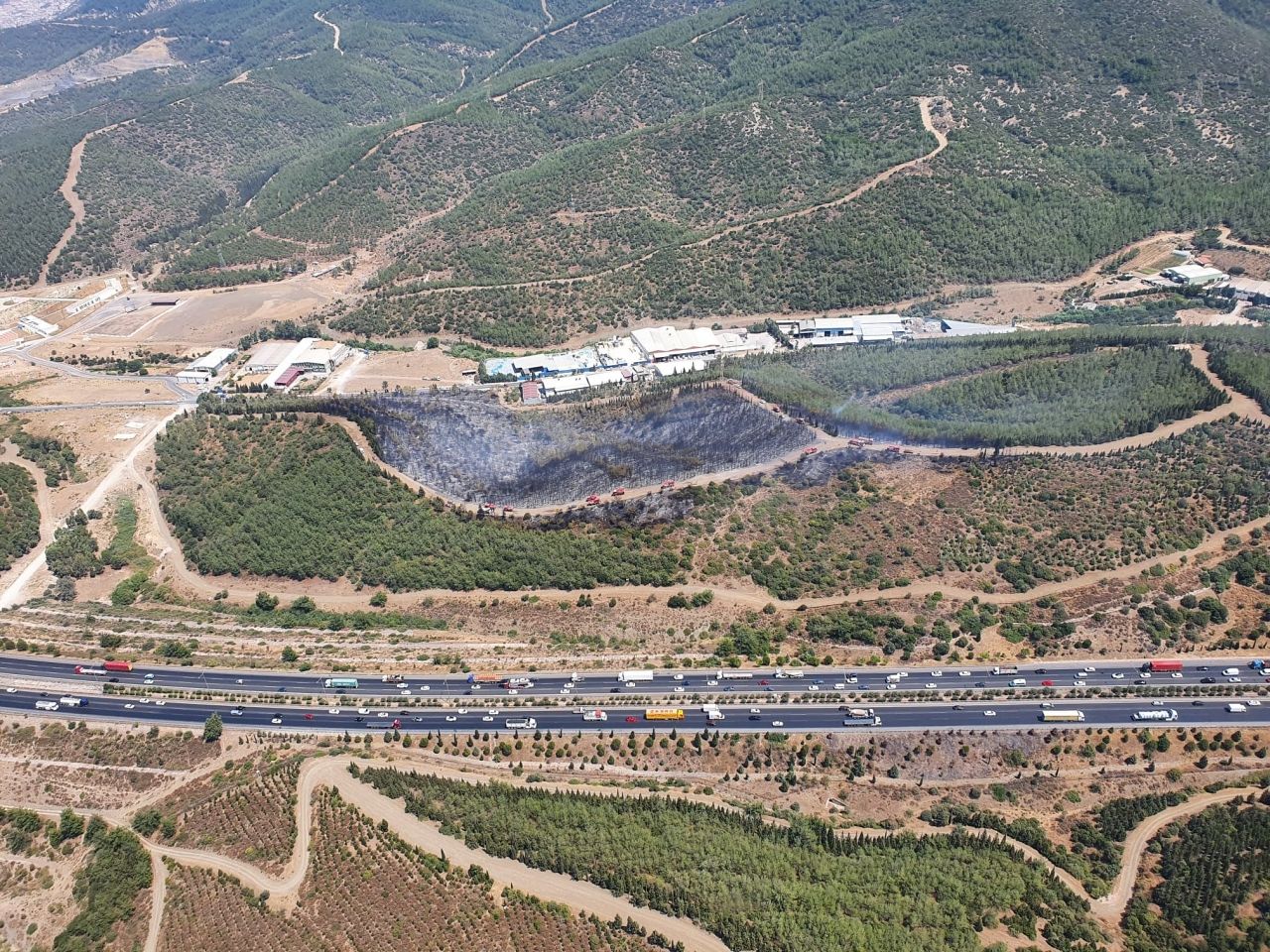 İzmir Buca'da orman yangını: Havadan ve karadan müdahale ediliyor! 4