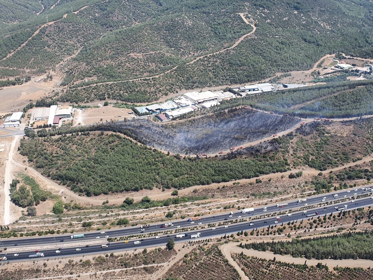 İzmir Buca'da orman yangını: Havadan ve karadan müdahale ediliyor! 3