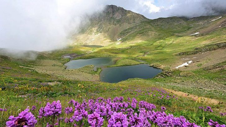 Çayın memleketi Rize’de doğayla baş başa kalabileceğiniz yerler ve meşhur yemekler listesi 3