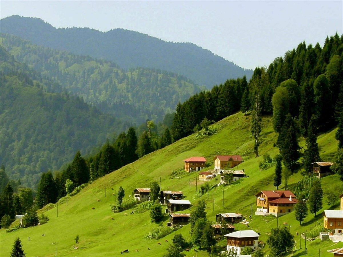 Çayın memleketi Rize’de doğayla baş başa kalabileceğiniz yerler ve meşhur yemekler listesi 5