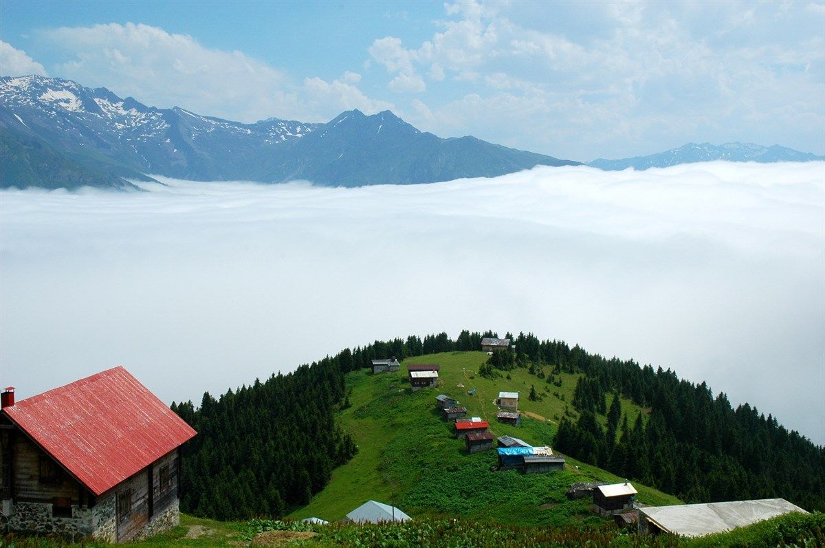 Çayın memleketi Rize’de doğayla baş başa kalabileceğiniz yerler ve meşhur yemekler listesi 14