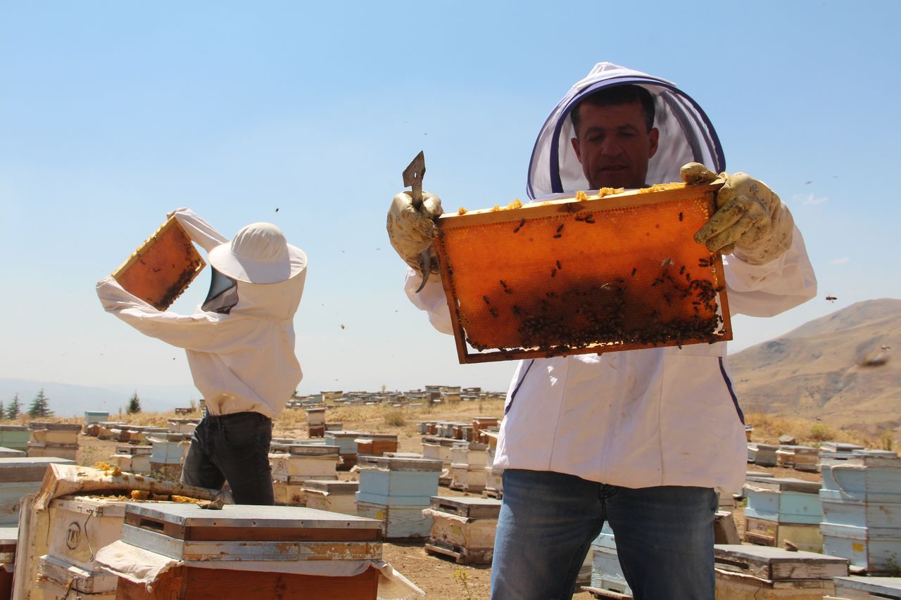 İklim değişikliği florayı etkiledi, arıcılar mağdur oldu 1