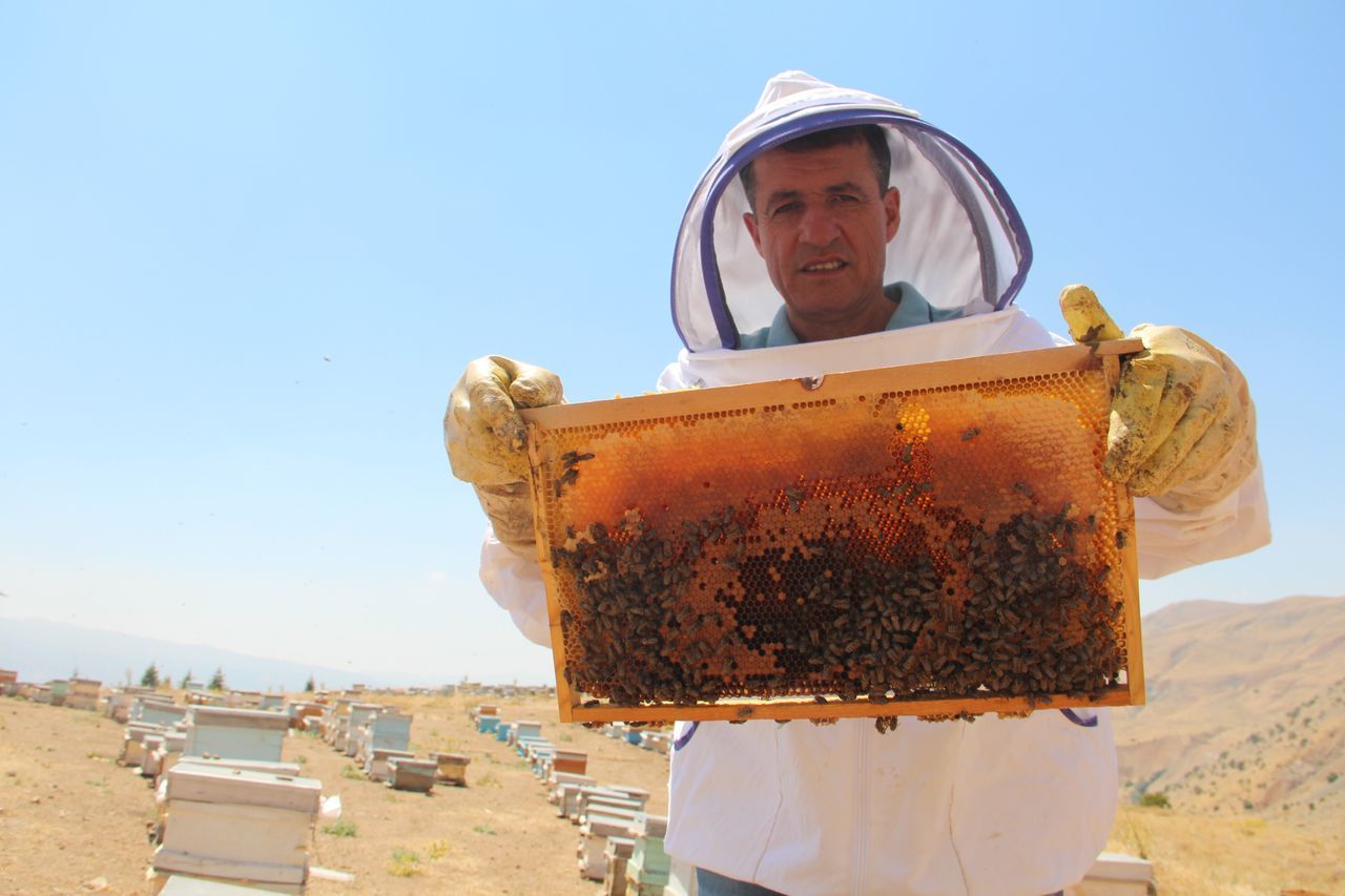 İklim değişikliği florayı etkiledi, arıcılar mağdur oldu 2