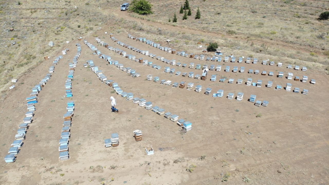 İklim değişikliği florayı etkiledi, arıcılar mağdur oldu 14