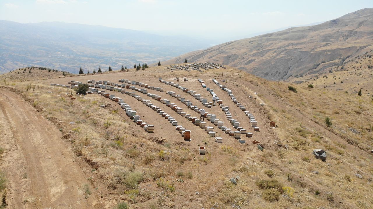 İklim değişikliği florayı etkiledi, arıcılar mağdur oldu 15