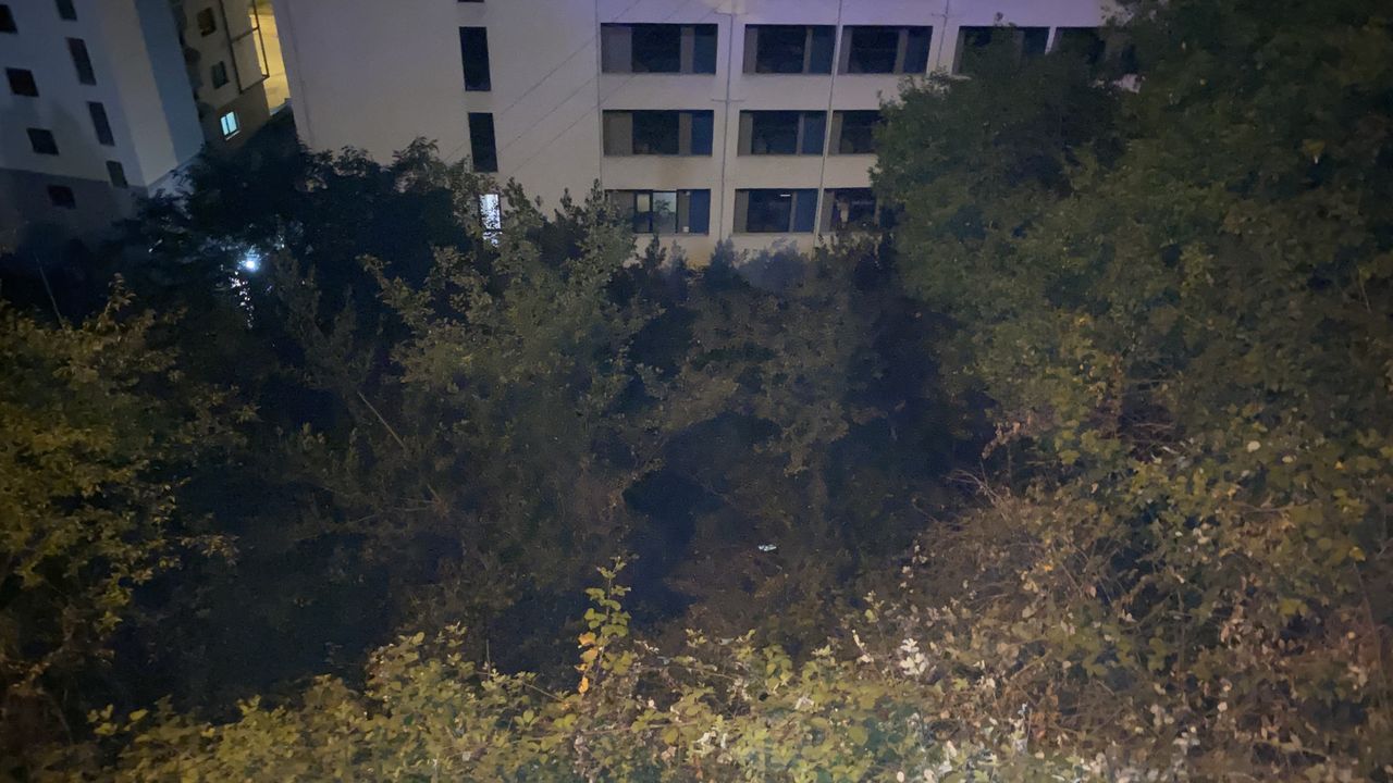 Aracıyla ormanlık alana uçtu, 8 metre yüksekliği tırmanarak hastaneye gitti 4