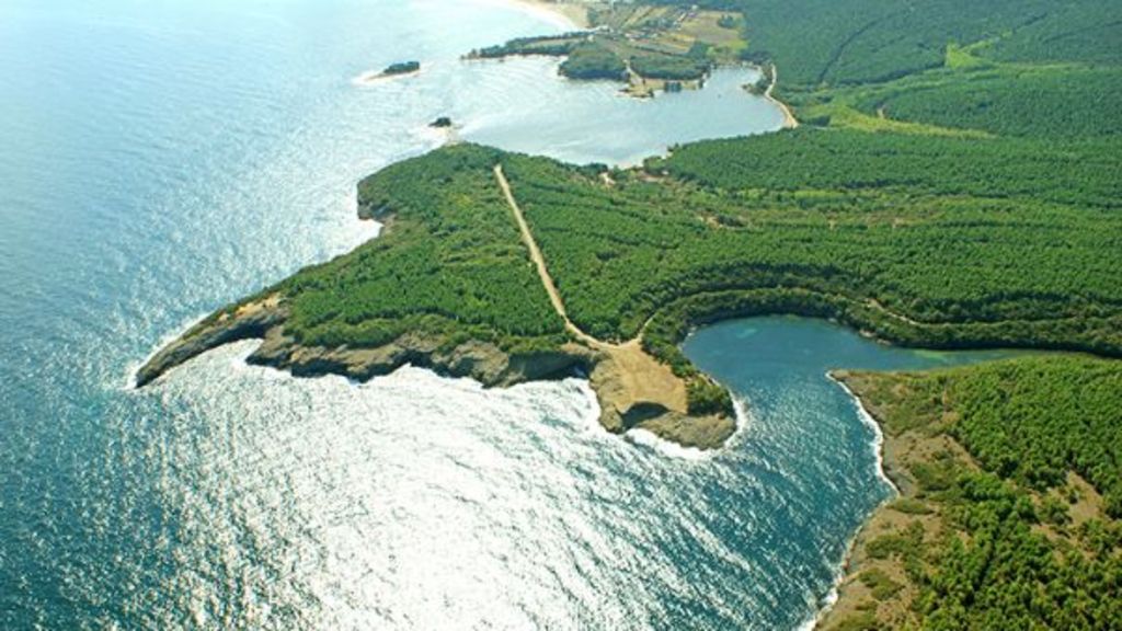 Deniz manzarası, doğal yaşam alanları ve kültürel mirasıyla Sinop gezi listesi ve yöresel lezzetleri 12
