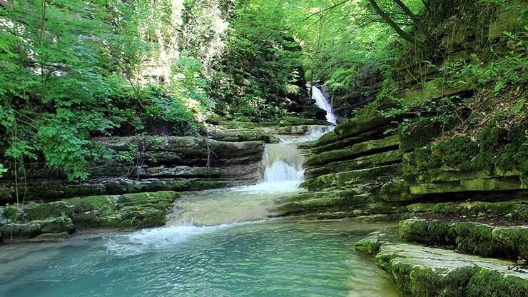 Deniz manzarası, doğal yaşam alanları ve kültürel mirasıyla Sinop gezi listesi ve yöresel lezzetleri 23
