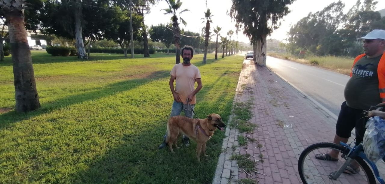 Köpeğin havlaması, korkunç gerçeği ortaya çıkardı! 1