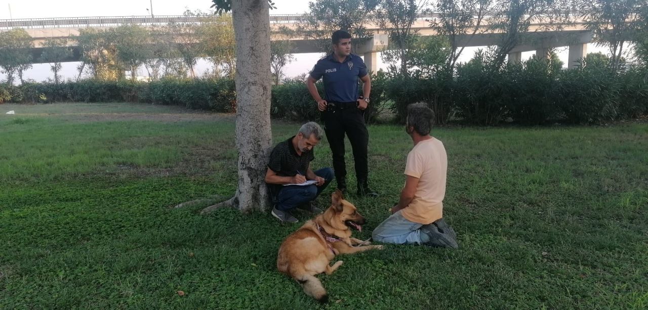 Köpeğin havlaması, korkunç gerçeği ortaya çıkardı! 5