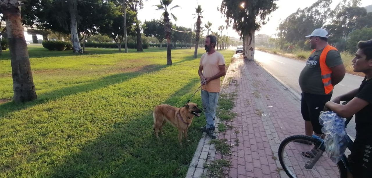 Köpeğin havlaması, korkunç gerçeği ortaya çıkardı! 10