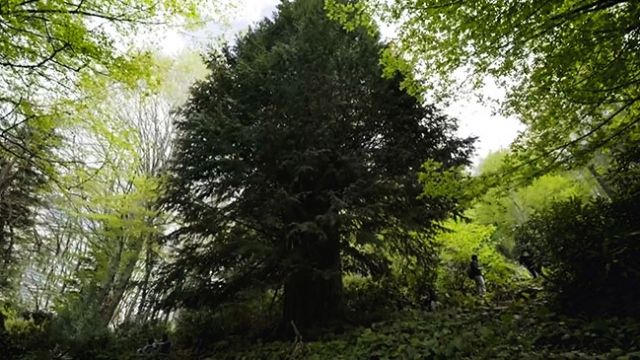 Müzeleri, mağaraları ve yöresel tatlarıyla Zonguldak'ın gezi listesi 12