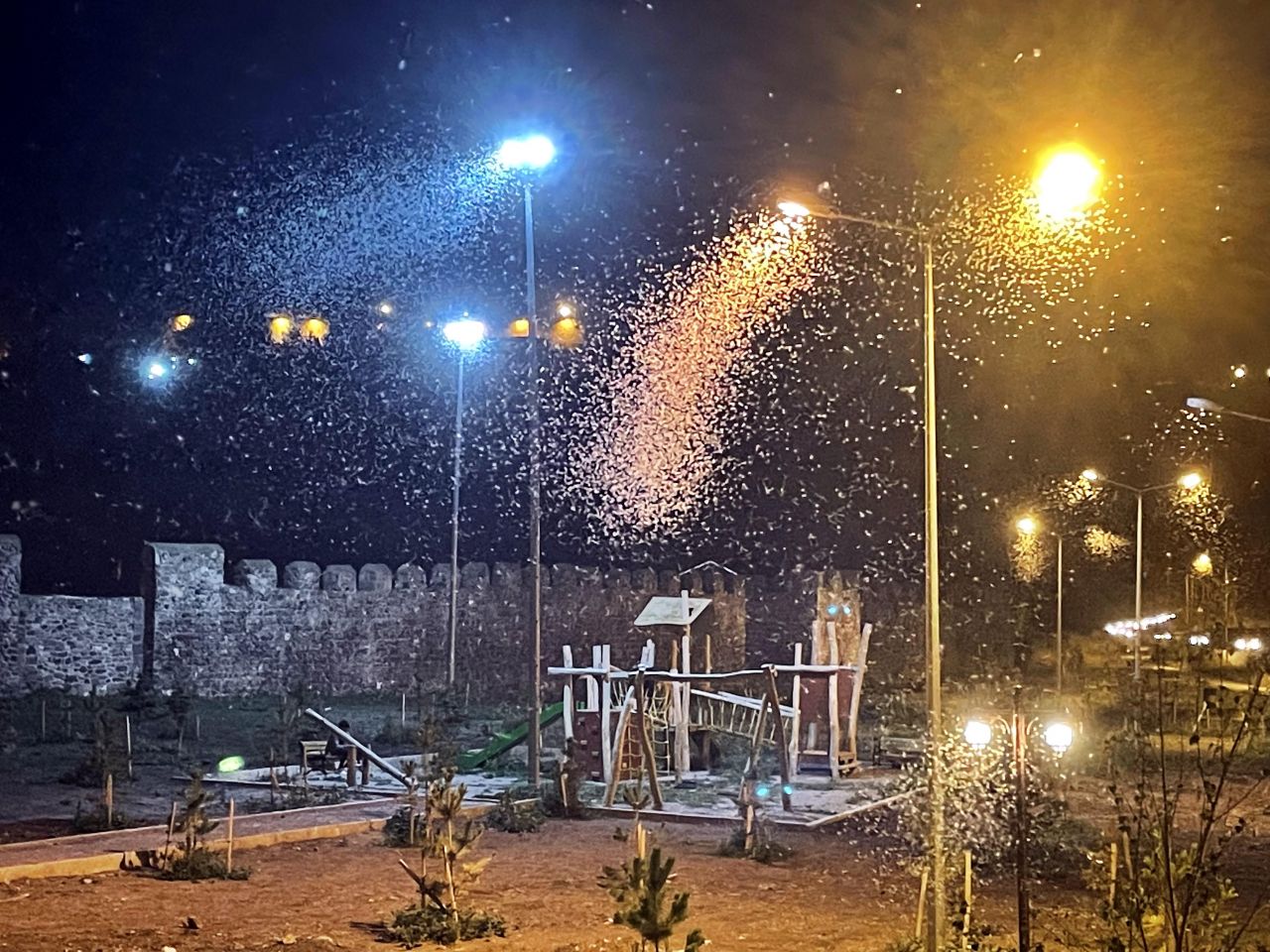 Ardahan'da vatandaşlar mayıs sineklerinin ölüm uçuşunu izledi 4