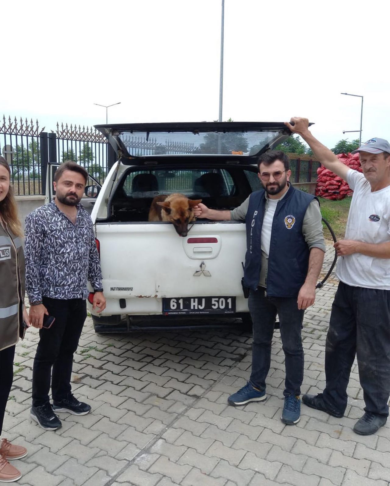 Trabzon'da ilginç olay: Bekçiyi ısıran köpek gözaltına alındı! 3