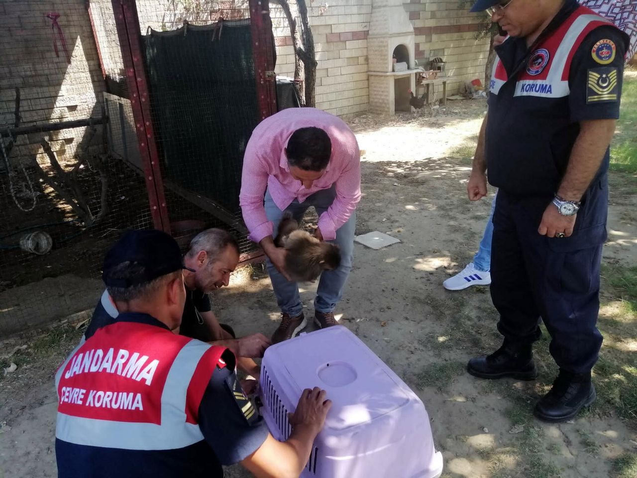 Kafeste tutulan maymun, çocuğun elini ısırınca hayvanat bahçesine gönderildi 3