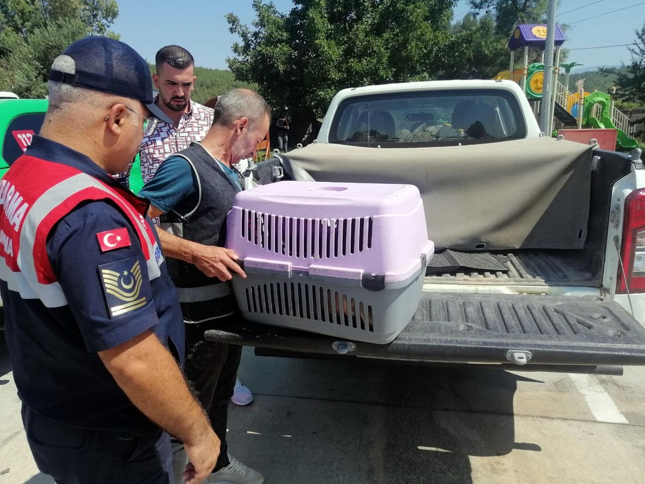 Kafeste tutulan maymun, çocuğun elini ısırınca hayvanat bahçesine gönderildi 2