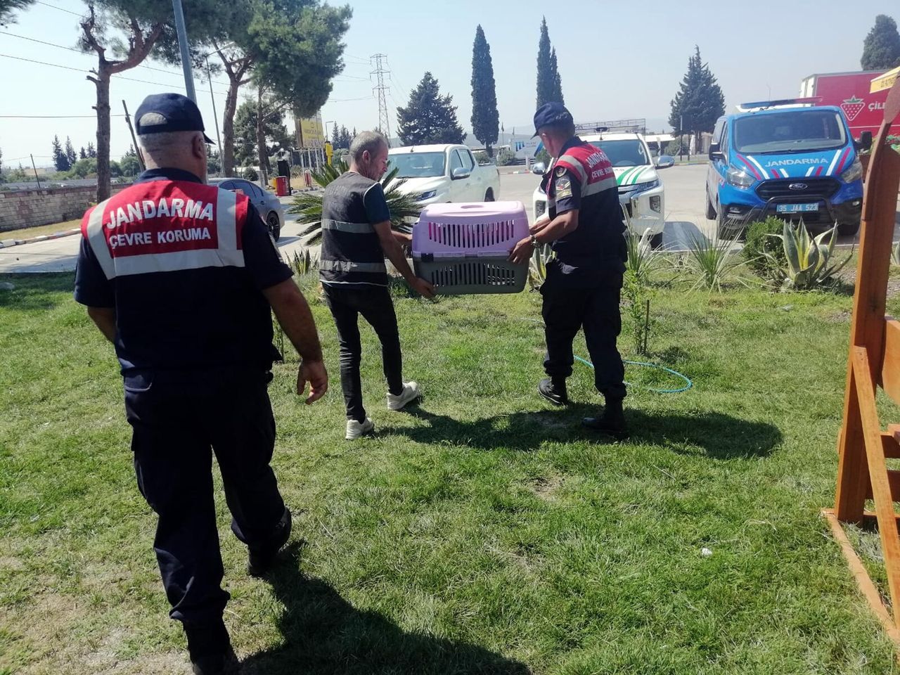 Kafeste tutulan maymun, çocuğun elini ısırınca hayvanat bahçesine gönderildi 5