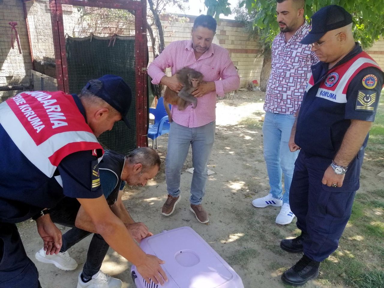 Kafeste tutulan maymun, çocuğun elini ısırınca hayvanat bahçesine gönderildi 1