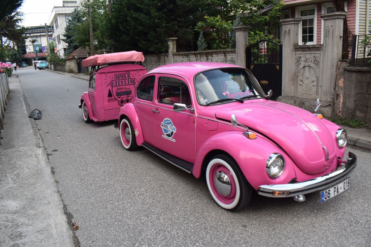 Doğa ve klasik araç tutkusu bunu da yaptırdı! Onunkisi 'Pembe Aşk' 3