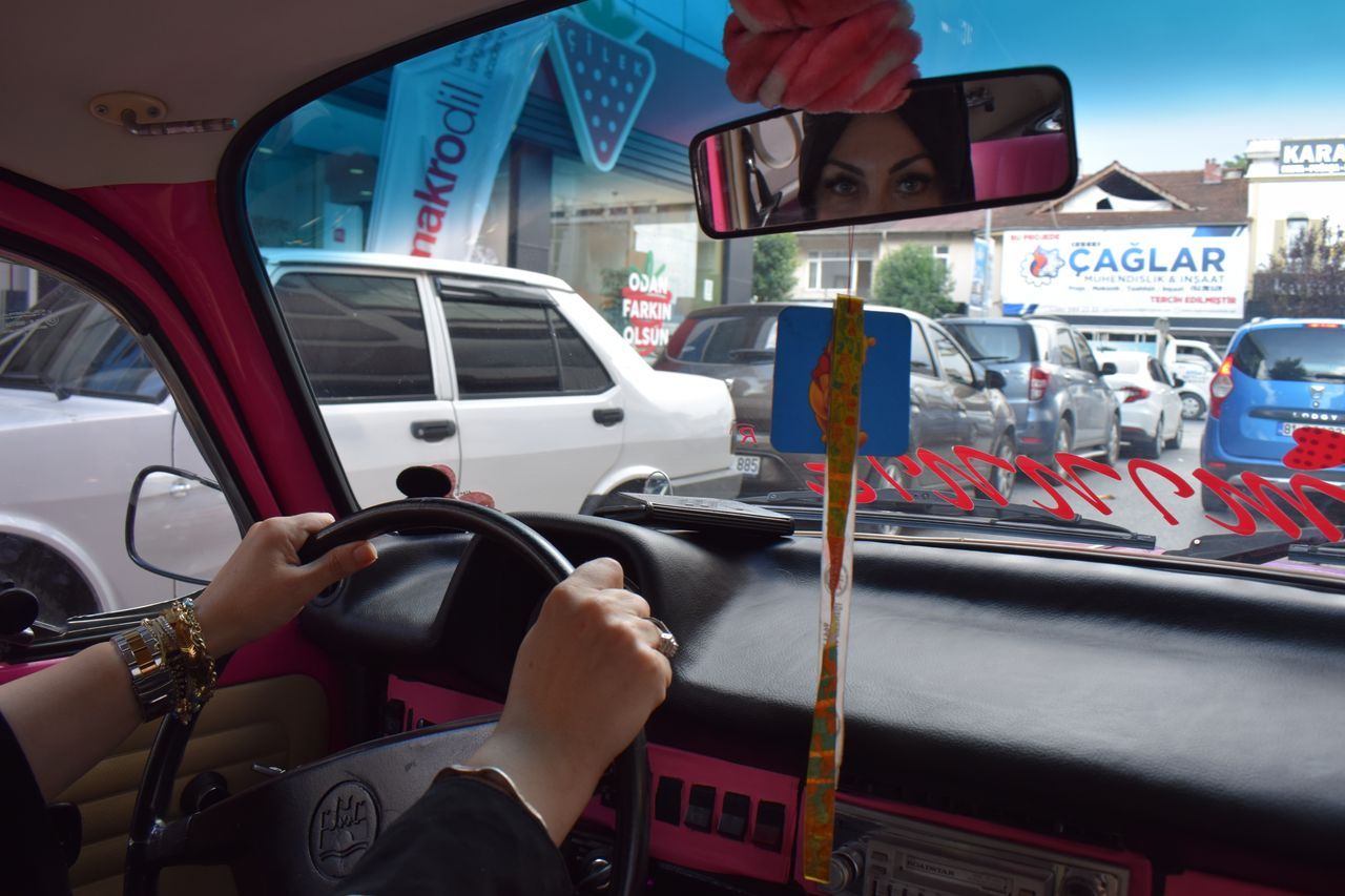 Doğa ve klasik araç tutkusu bunu da yaptırdı! Onunkisi 'Pembe Aşk' 2
