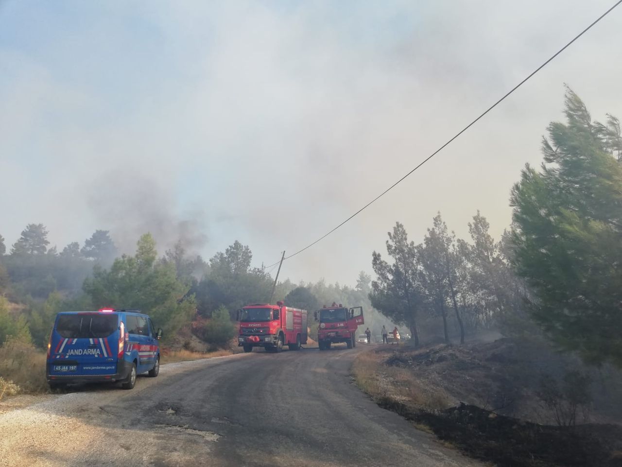 Manisa, Elazığ ve Tunceli'de orman yangını! Alevlerle mücadele ediliyor 1