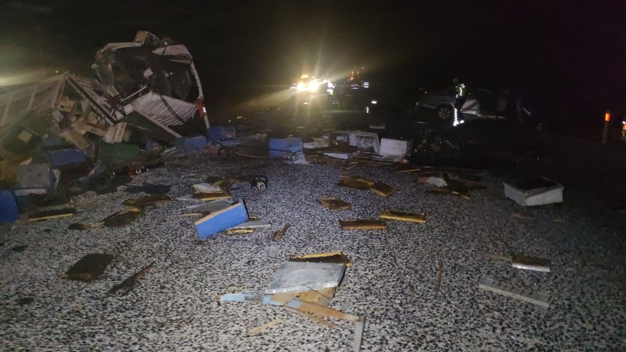Arı kovanı yüklü kamyonla otomobil çarpıştı: 4 ölü, 3 yaralı 4