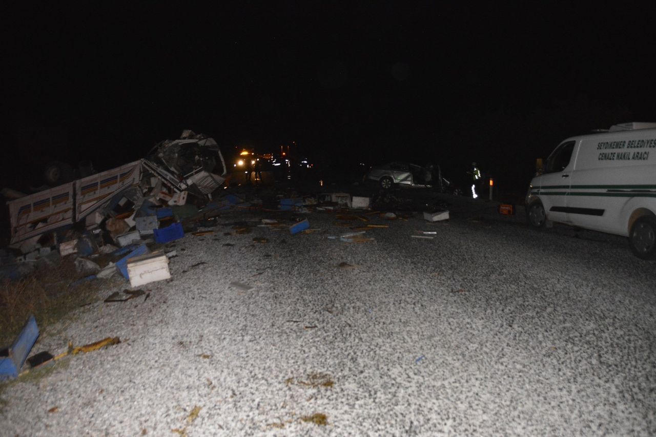 Arı kovanı yüklü kamyonla otomobil çarpıştı: 4 ölü, 3 yaralı 6