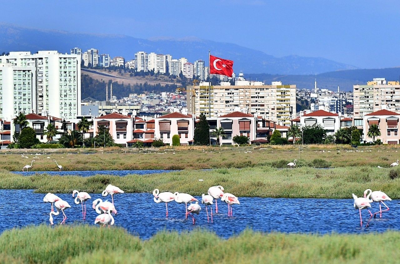 İzmir’in kuş cenneti Flamingo Yolu, ziyaretçilerini kendine hayran bırakıyor 1