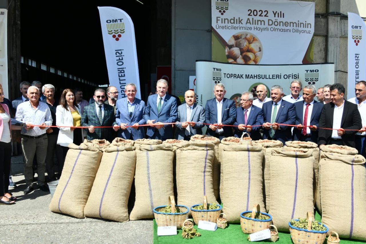 Samsun’da sezonun ilk fındığı Toprak Mahsulleri Ofisi'ne kilosu 56 liradan satıldı 2