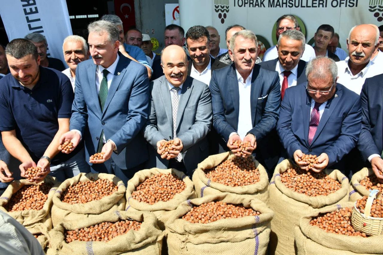 Samsun’da sezonun ilk fındığı Toprak Mahsulleri Ofisi'ne kilosu 56 liradan satıldı 7