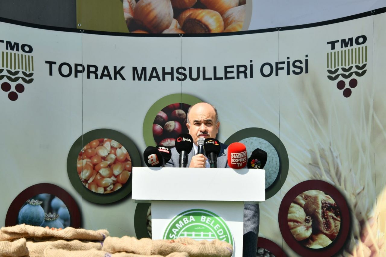 Samsun’da sezonun ilk fındığı Toprak Mahsulleri Ofisi'ne kilosu 56 liradan satıldı 8