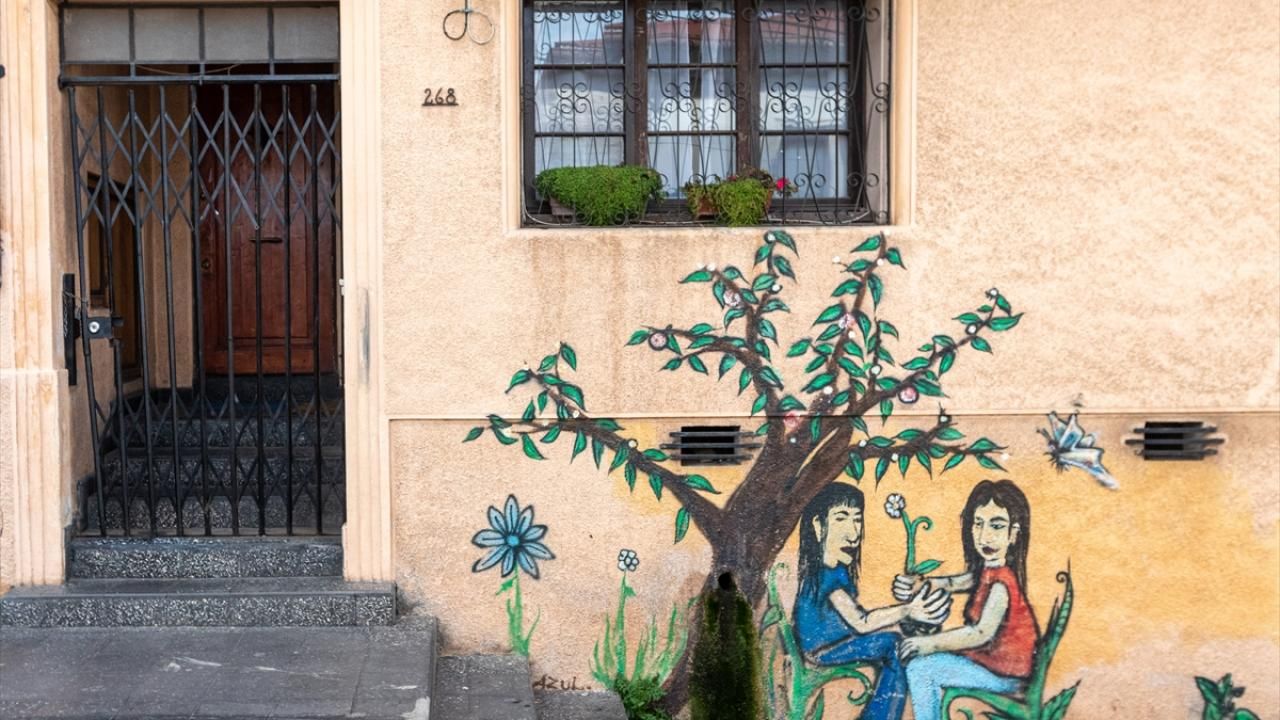 Şili’nin Valparaiso şehrinde sanat sokaklara yansıdı 8