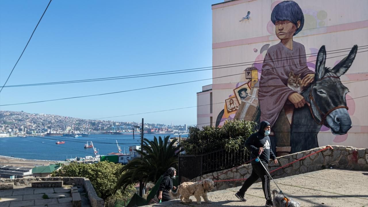Şili’nin Valparaiso şehrinde sanat sokaklara yansıdı 12
