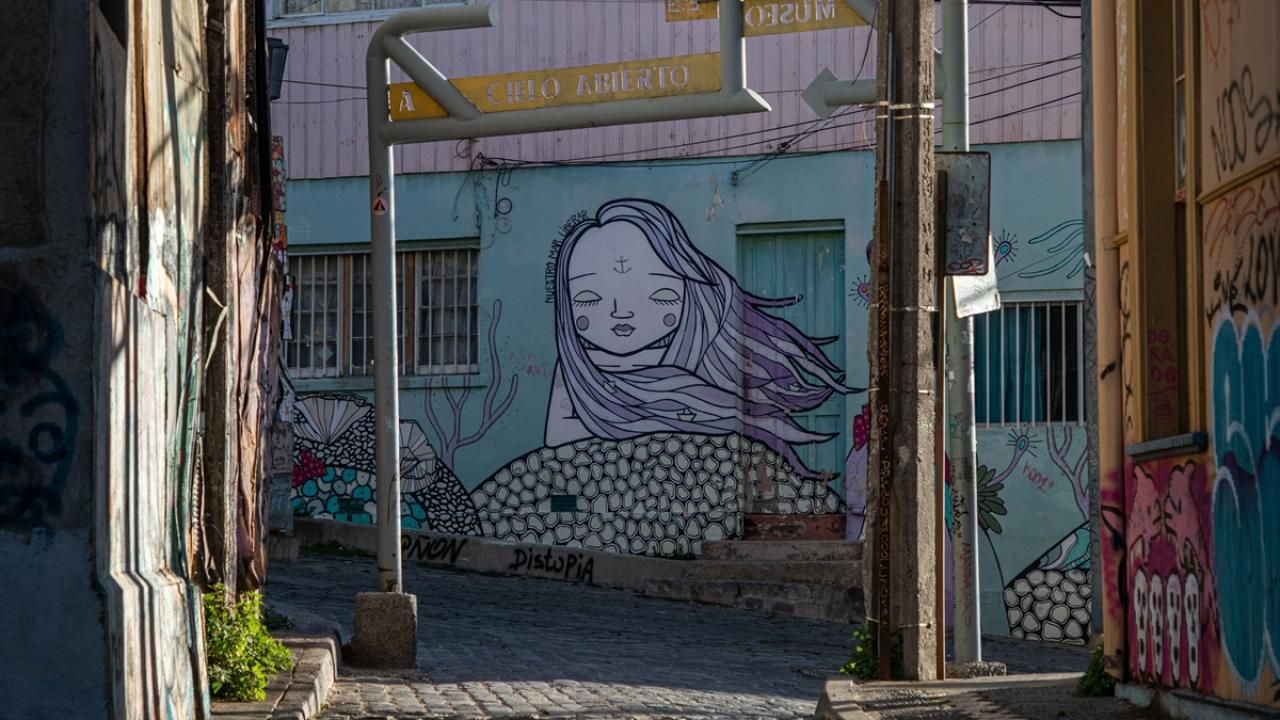 Şili’nin Valparaiso şehrinde sanat sokaklara yansıdı 13
