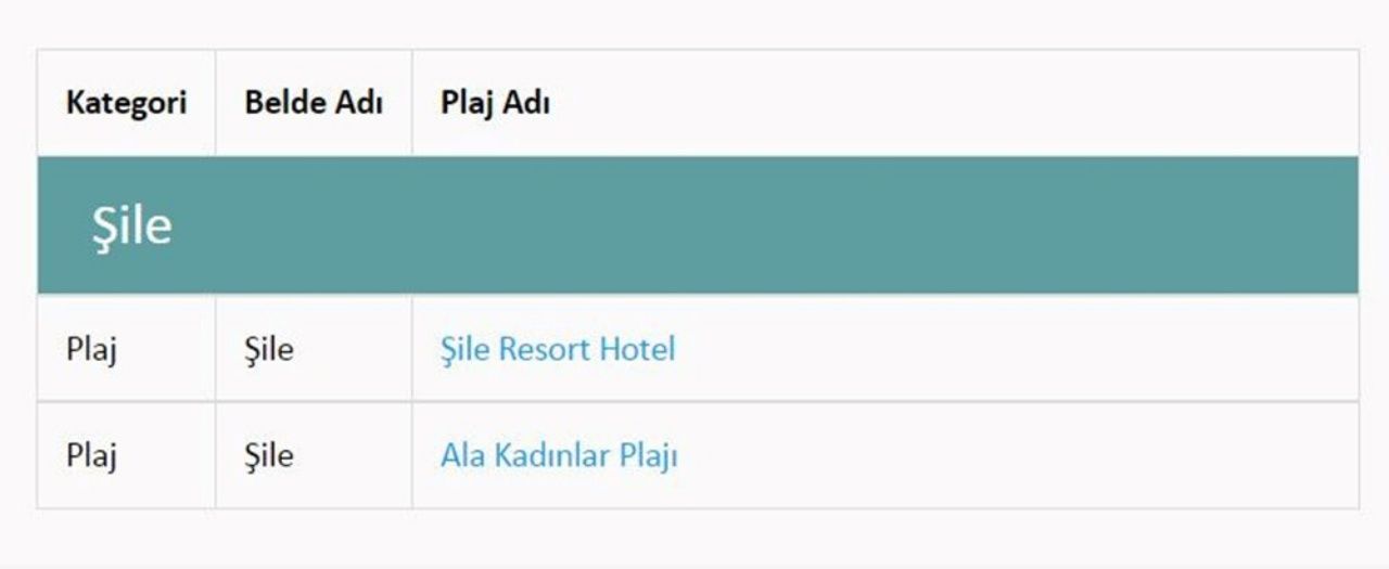 Türkiye’nin en güzel mavi bayraklı plajları ve sahilleri (2022 Güncel Liste) 91