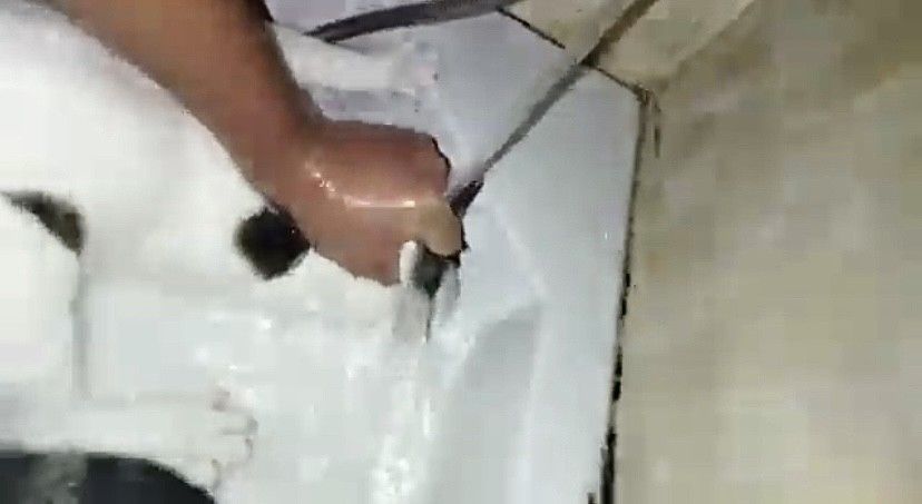 Evinde beslediği kediyi boğmaya çalıştı 4
