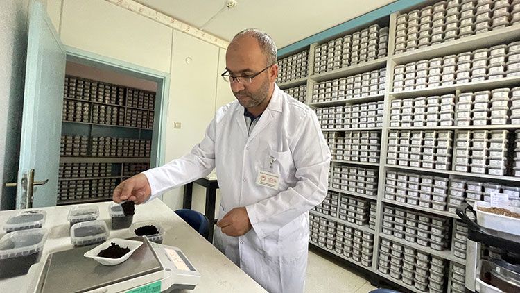 Konya'da bitkisel atıklardan organik gübre elde edilerek silajlık mısırda yüzde 42 verime ulaşıldı 1