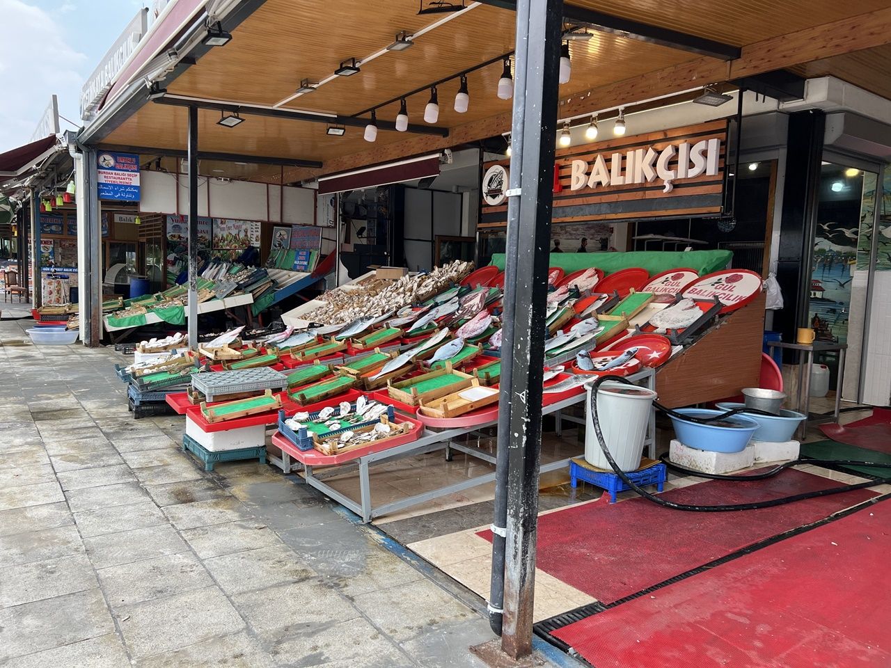 Balıkta av yasağı 1 Eylül itibariyle bitiyor! Balıkçılar yeni sezon için tezgahlarını hazırlamaya başladı 2
