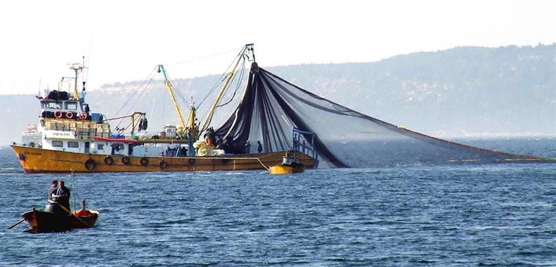 Balıkçılara müjde! Su Ürünleri Av Sezonu, Bakan Kirişçi ve balıkçılar eşliğinde 1 Eylül’de Sarıyer’de açılıyor 5
