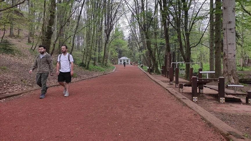 İçişleri Bakanlığı'ndan 81 ile genelge: Ormanlara giriş yasağı kaldırıldı! 2