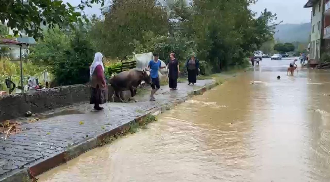 Bartın'da sağanak yağış sele dönüştü, ev ve iş yerlerini su bastı 5