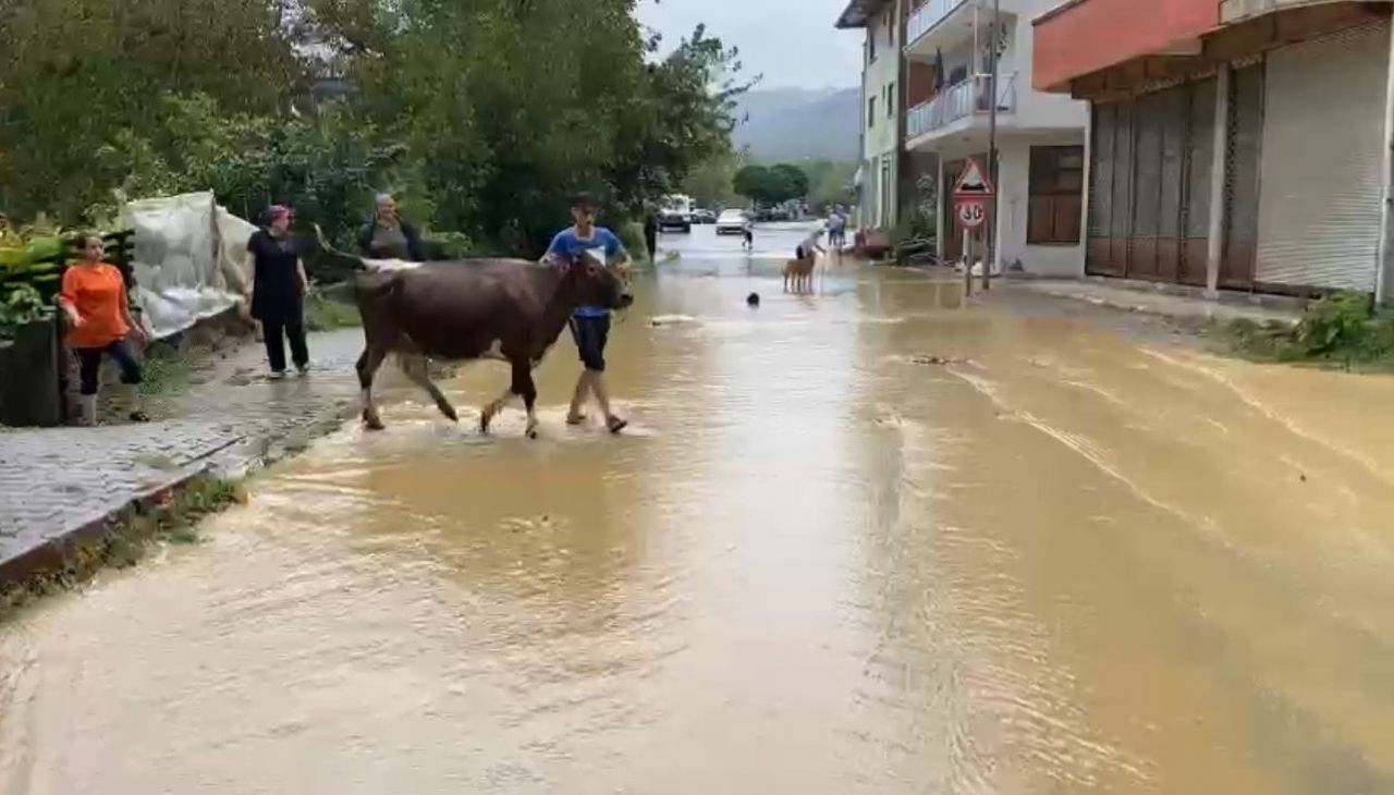 Bartın'da sağanak yağış sele dönüştü, ev ve iş yerlerini su bastı 7