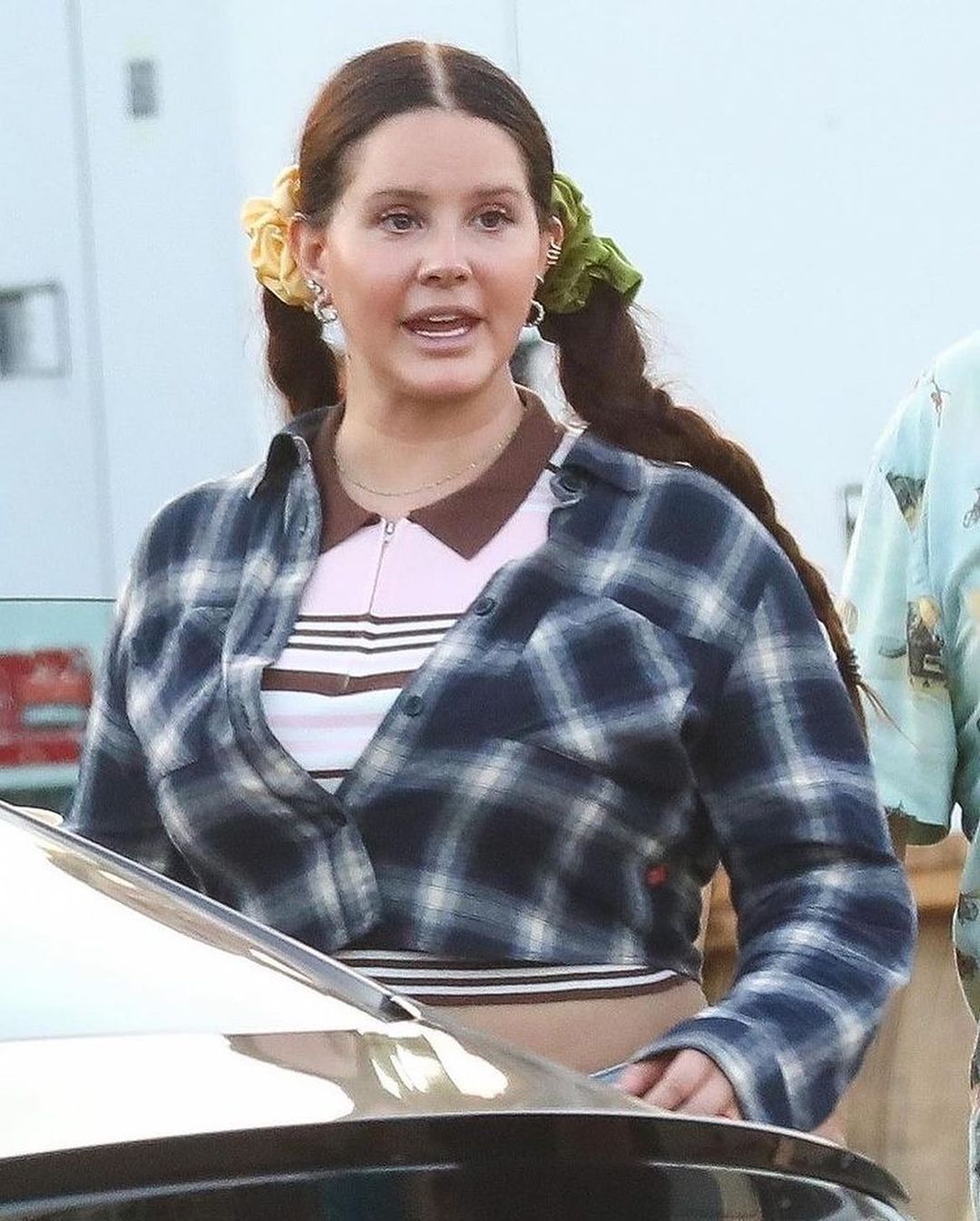 Dünyaca ünlü yıldız Lana Del Rey aldığı kilolarla tanınmaz hale geldi 12