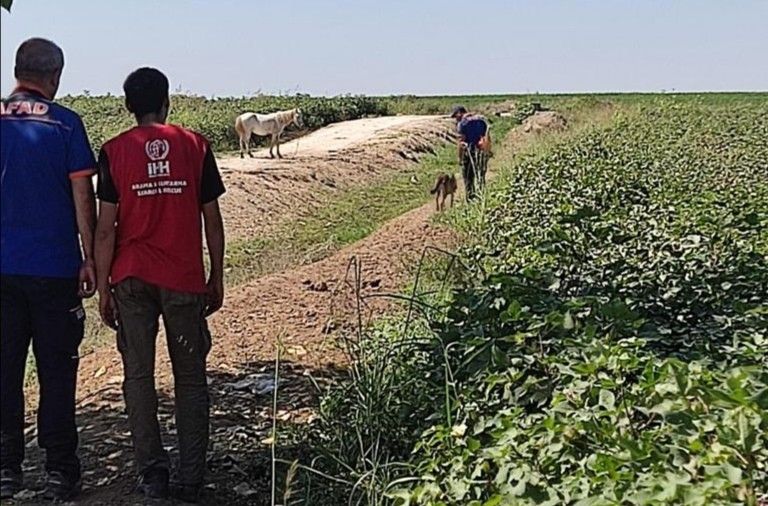 Evin önünde oynarken kaybolmuştu! 3 gün sonra cansız bedeni bulundu 2