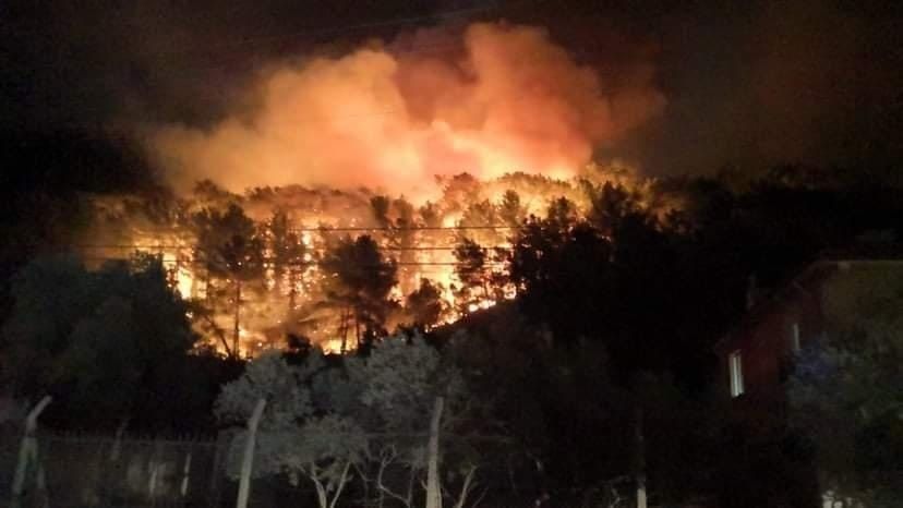 Muğla'nın Ula ilçesinde orman yangını! Rüzgar etkisini artırdı... Yerleşim yerleri tehdit altında... 2